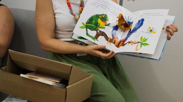 Livro infantil aberto contém sapo verde sorridente, pássaro azul e mosquito é demonstrado por mulher de blusa branca e calça verde. Ao lado dela, uma caixa contém mais livros infantis.